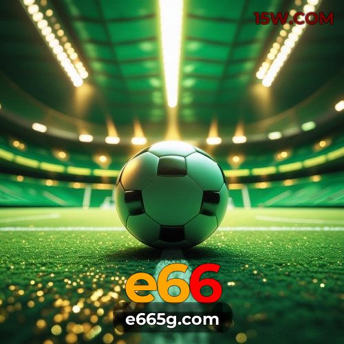 Suporte e66